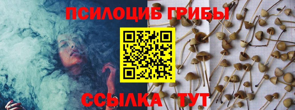 Галлюциногенные грибы MAGIC MUSHROOMS  Галлюциногенные грибы Psilocybine cubensis  Вход с VPN  Джанкой 