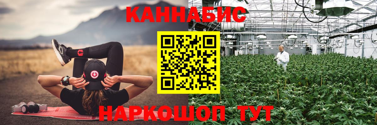 Каннабис планчик  Конопля семена  Конопля SATIVA & INDICA  Джанкой  Вход с VPN 